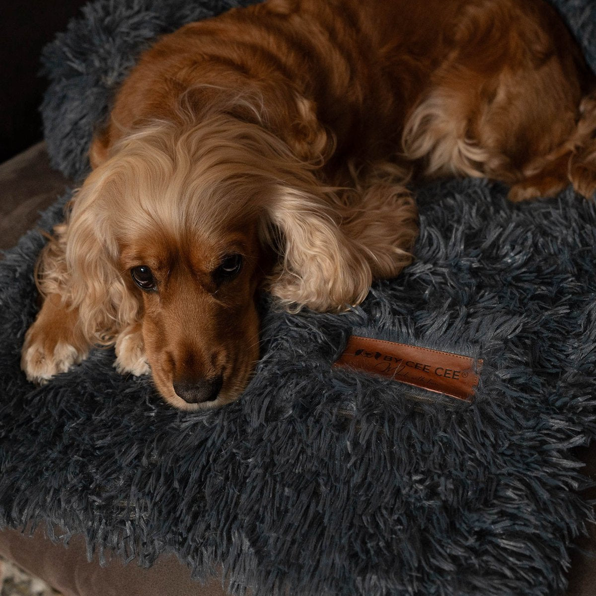 Von Cee Cee – Originales Hundedeckensofa – Hundedeckensofa – Hundebett – Premium – Komplett abziehbar