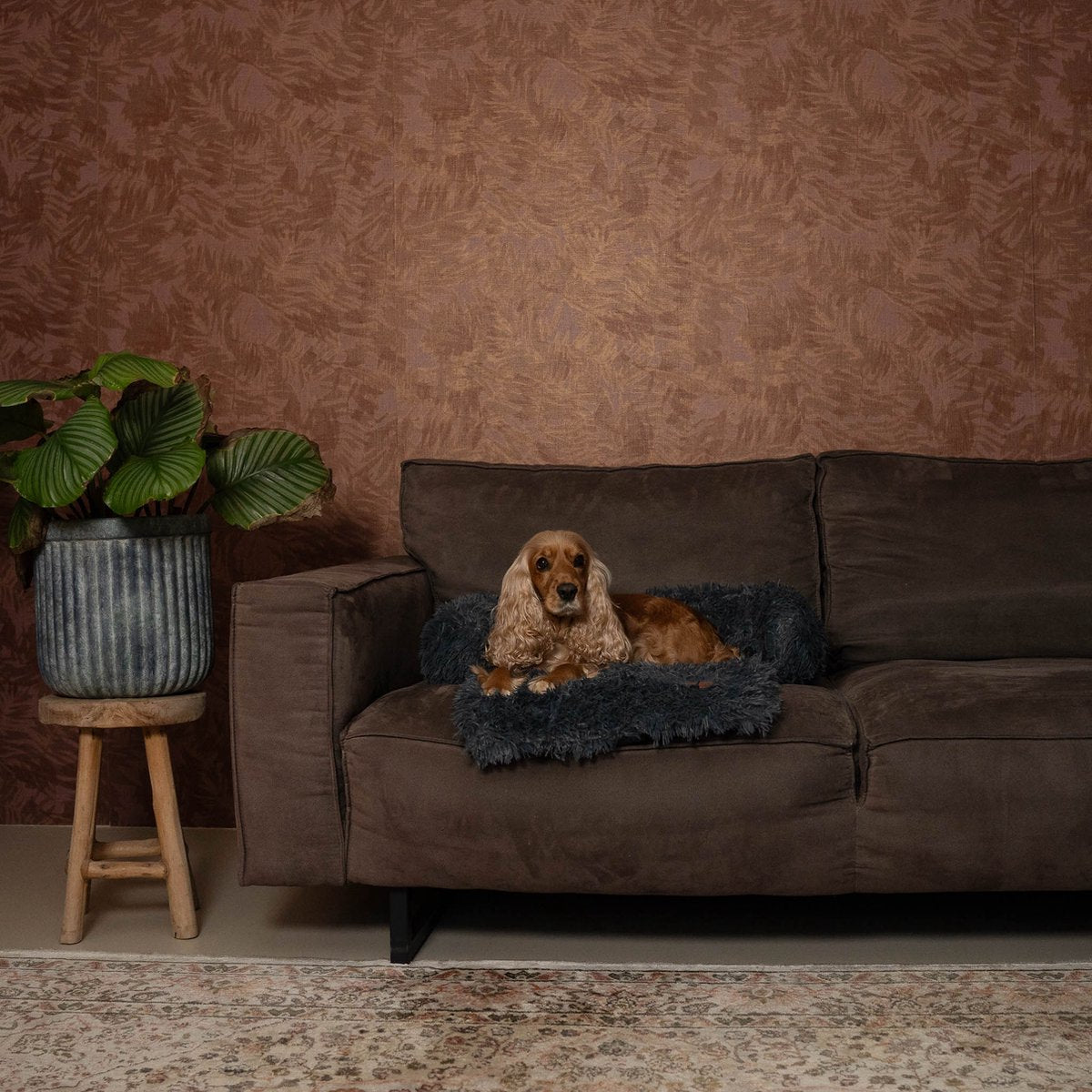 Von Cee Cee – Originales Hundedeckensofa – Hundedeckensofa – Hundebett – Premium – Komplett abziehbar