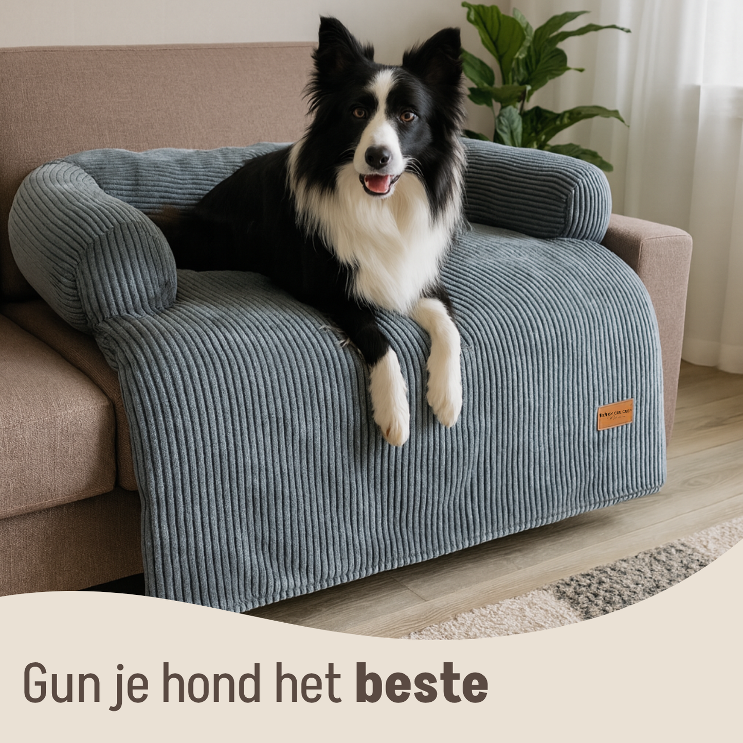 By Cee Cee Hondendeken Bank Ribstof