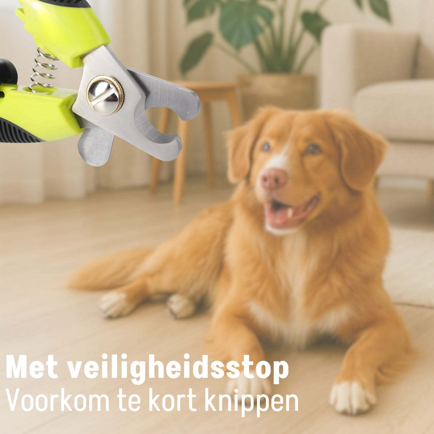 Kammen, Borstels en Nagelknippers