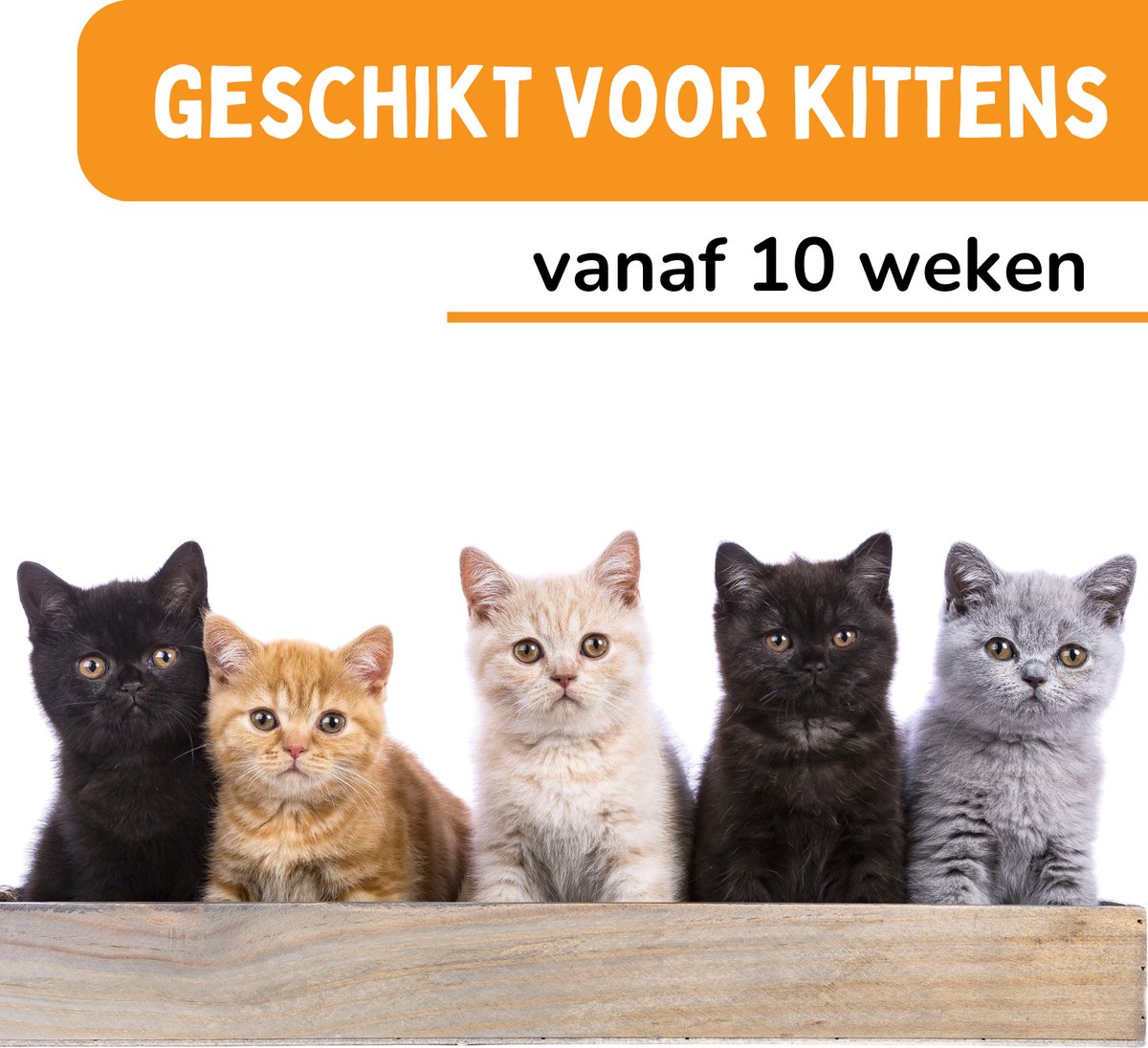 Vlooienband Kat - Effectief Tegen Vlooien En Teken - Grijs