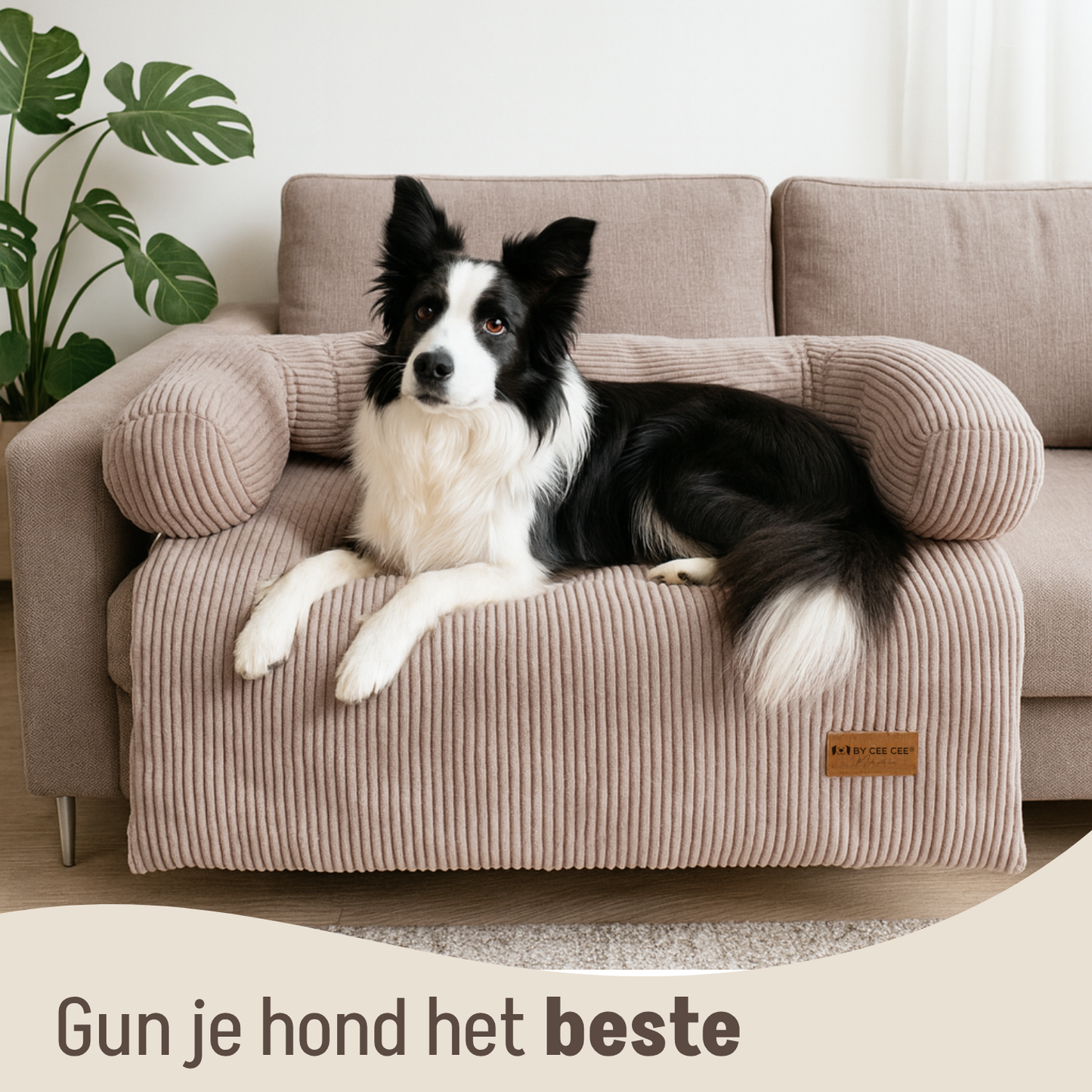 By Cee Cee Hondendeken Bank Ribstof