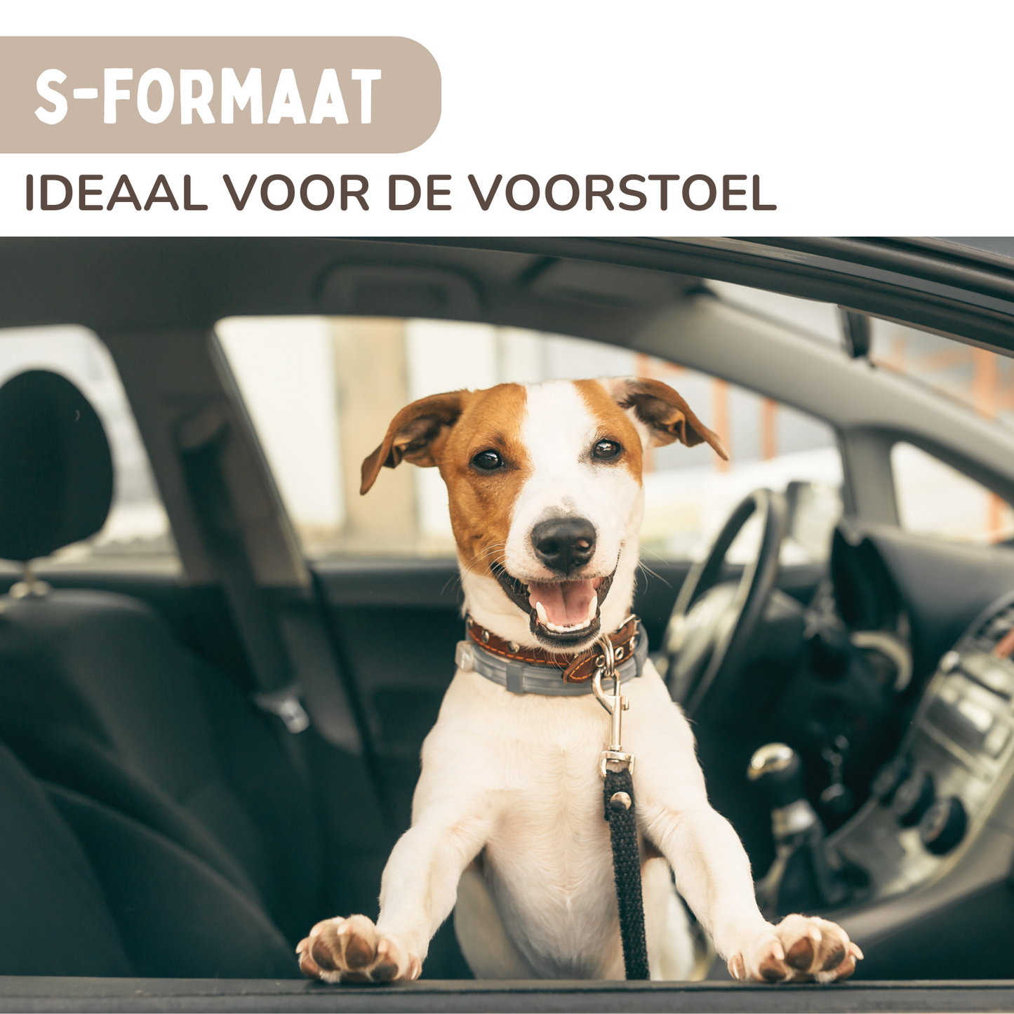 Von Cee Cee – Hundeautositz Deluxe Rücksitz – Hundekorb Auto mit Sicherheitsgurt – Hundeautokorb – Hundesitz – großer Hund