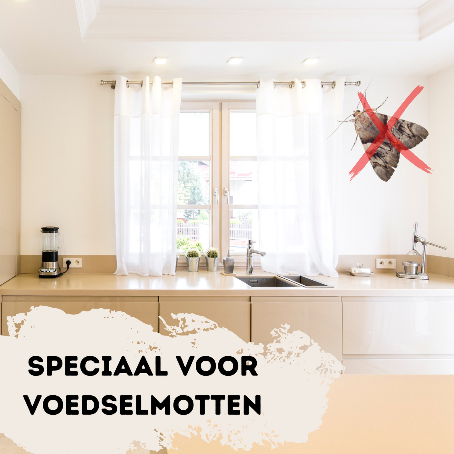 Photo of Mottenval – Voedsel- en Meelmotten bestrijdingsval