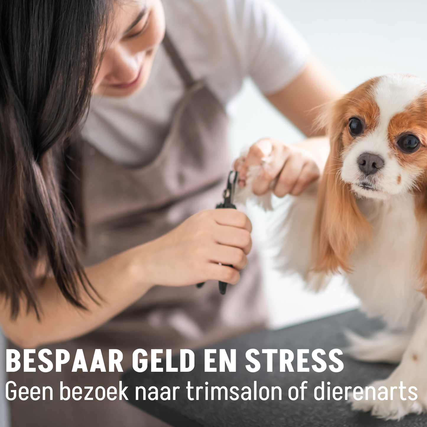 Combs, Brushes and Nail Clippers