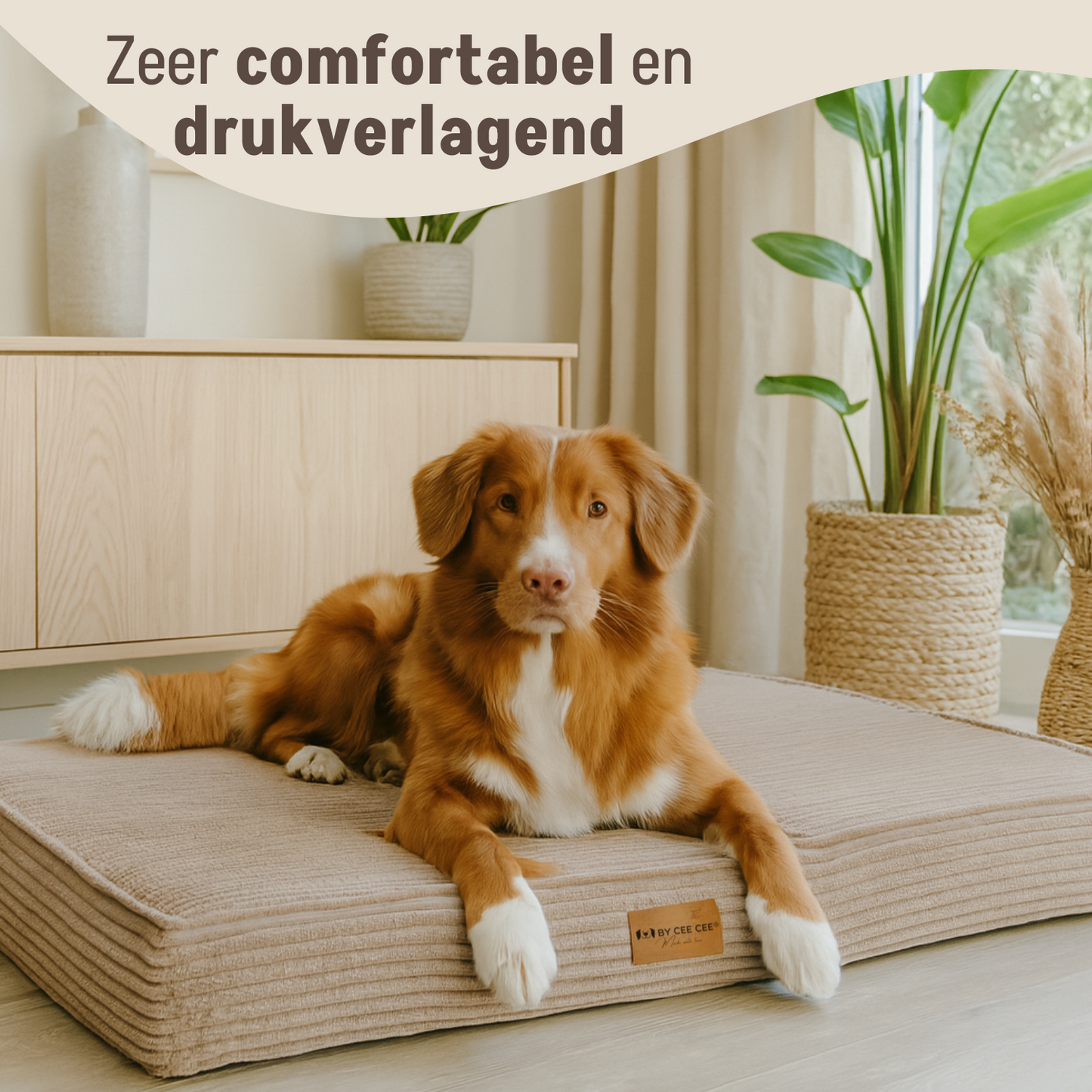 By Cee Cee Origineel Orthopedisch Hondenkussen Ribstof Mokka Taupe 100x70cm