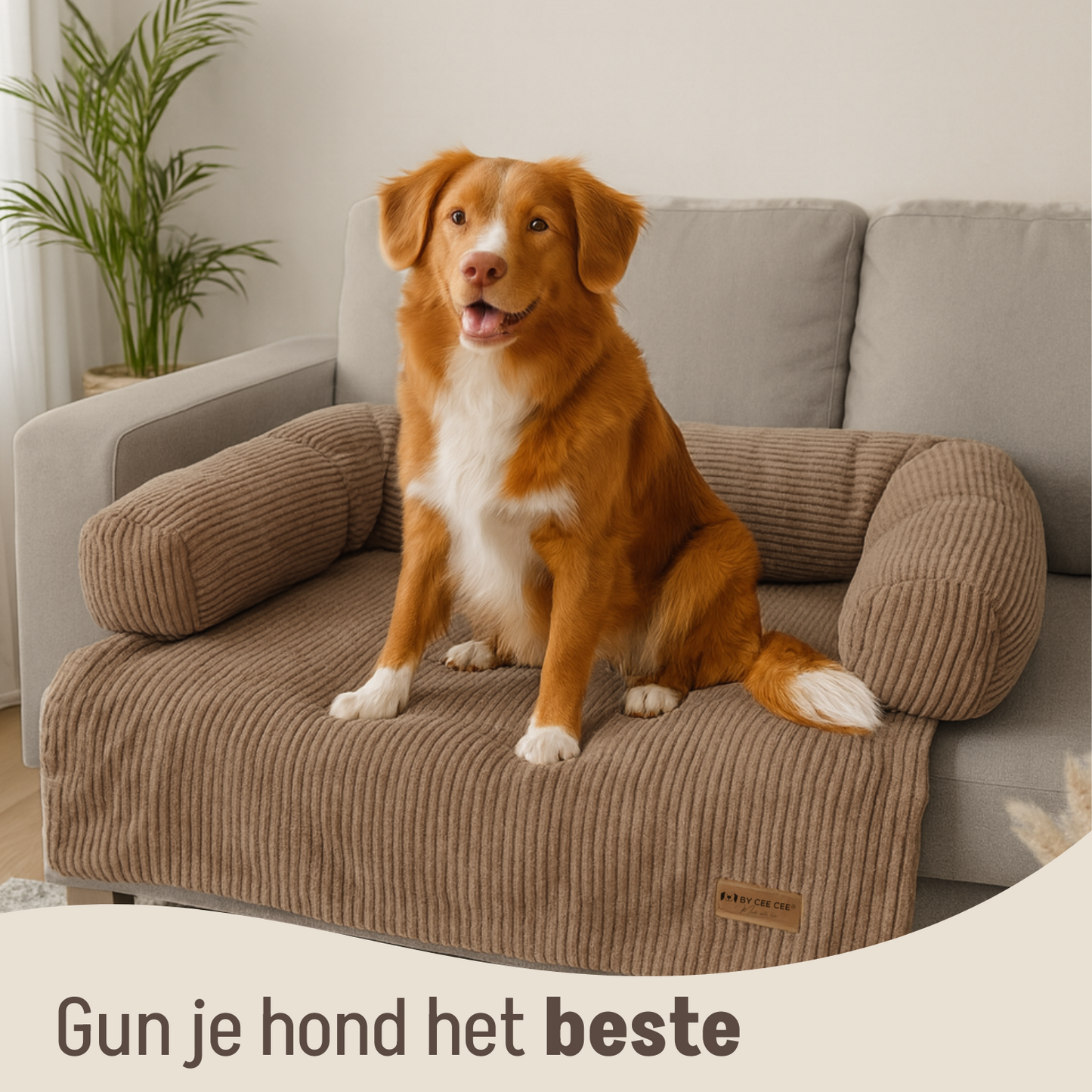 By Cee Cee Hondendeken Bank Ribstof