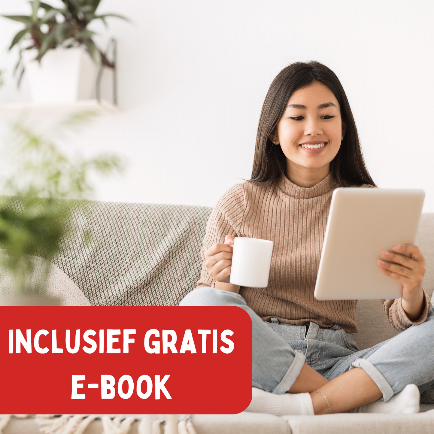 Photo of Coopley Muizenvallen - Set van 6 stuks