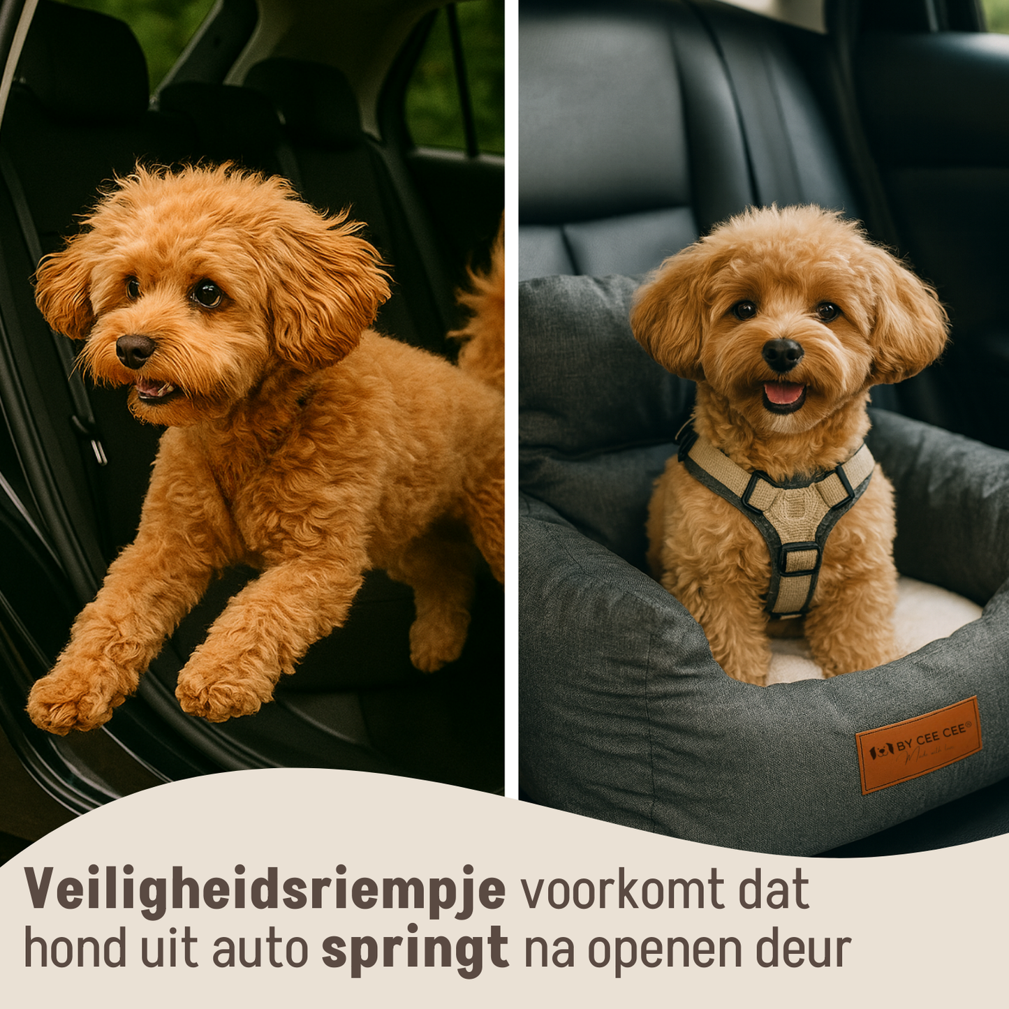 Autostoel Hond Premium All Season
