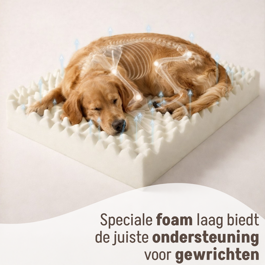 Is een orthopedische hondenmand echt nodig?