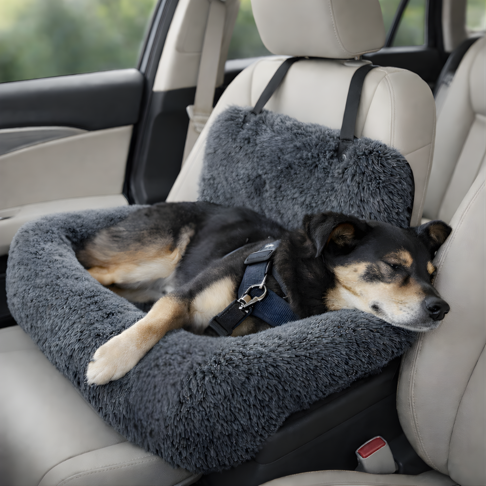 Hond in autostoel, Autstoel grijs, Veilige hond 