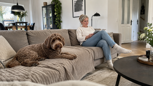 Bruine hond ligt op een ribstof deken op een taupe bank naast een lezende vrouw