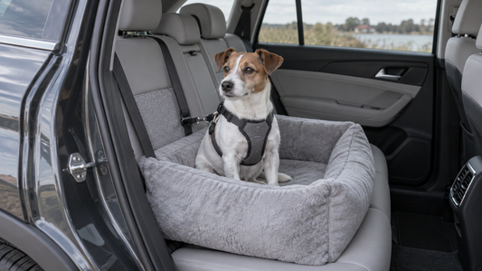 Jack Russell zit rustig in een grijze hondenautostoel op de achterbank van een geparkeerde auto