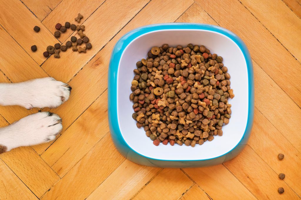 Welke voedselallergieën bij honden zijn er?
