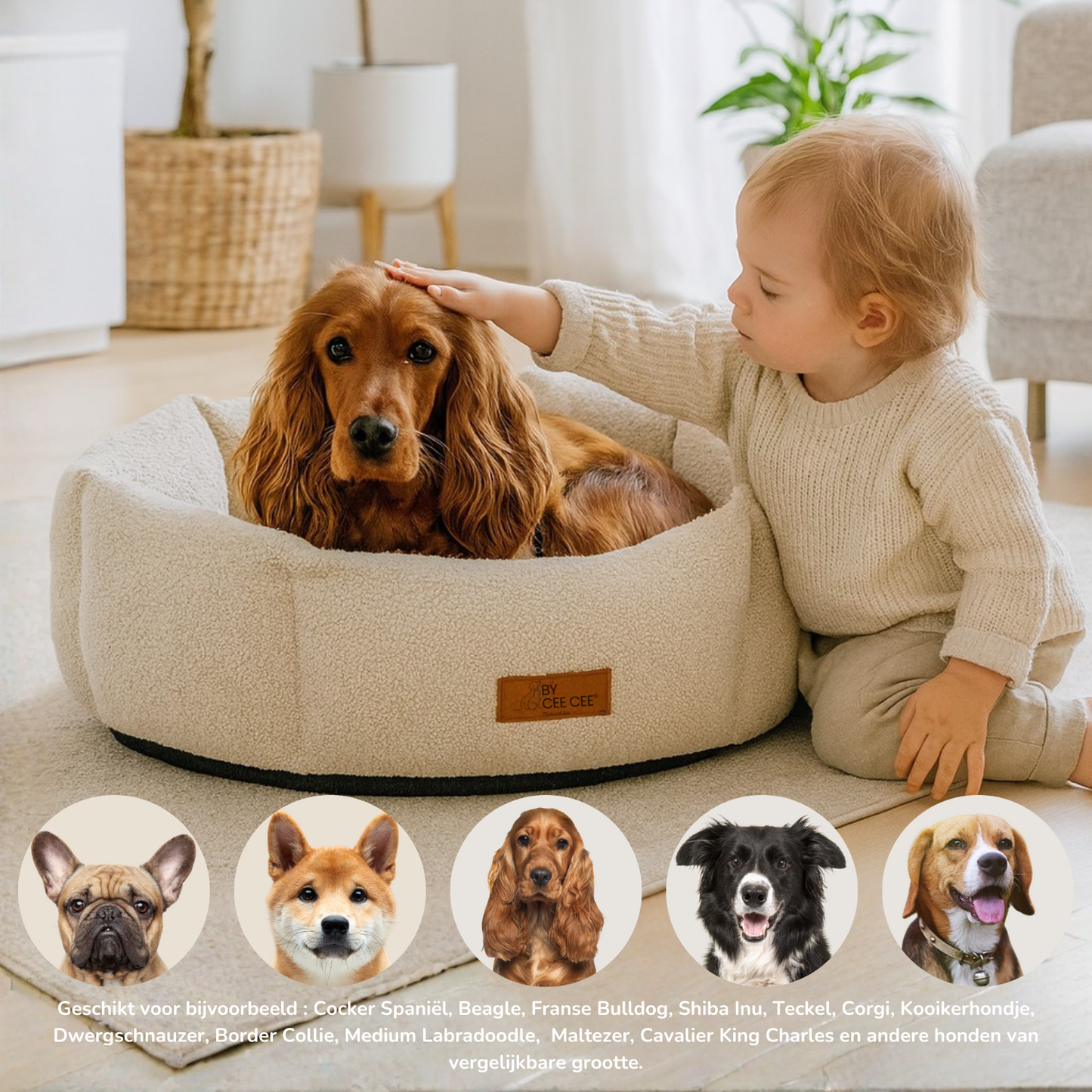 Von Cee Cee Dog Basket Teddy Mittelgroße Hunde