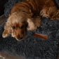 Von Cee Cee – Originales Hundedeckensofa – Hundedeckensofa – Hundebett – Premium – Komplett abziehbar