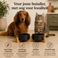 Ceramic food bowls with bamboo stand