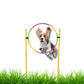 Agility Voor De Hond - Hoepel Springen - Honden Training -Slalom Hond Trainen - Behendigheid