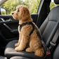 Honden Auto Gordel Schok Absorberend