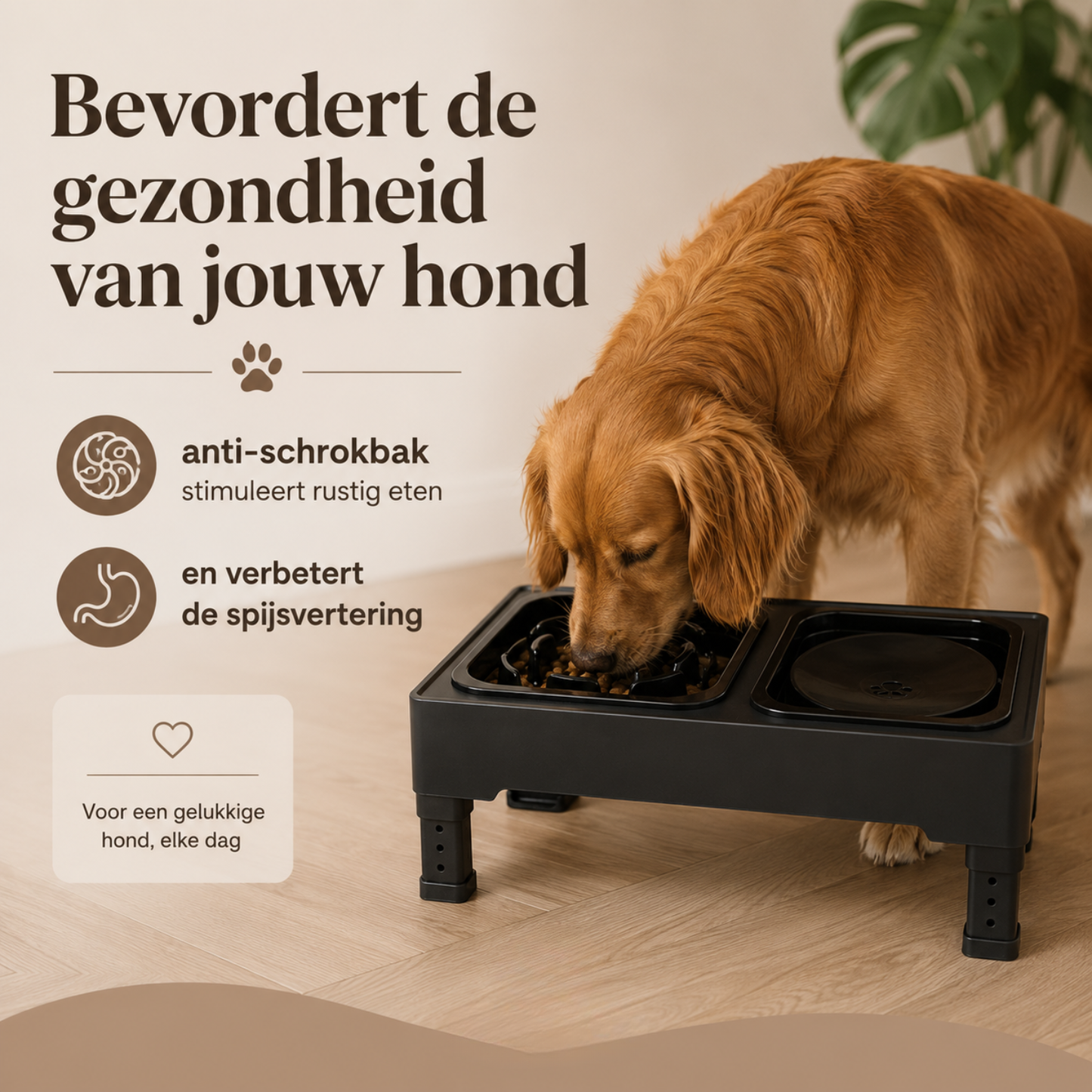 Verstelbare Dubbele Voerbak Met Anti-knoeimat