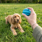 Multi Bal - Slowfeeder & Dental Care Bal