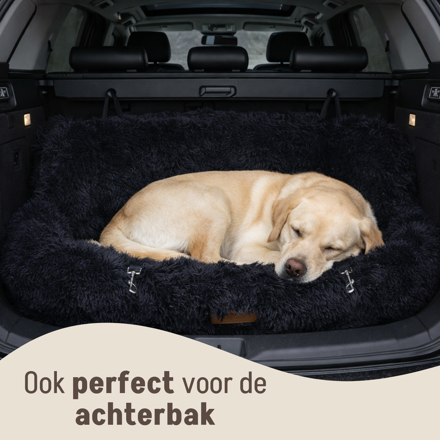 Fluffy Car Seat - The Ideal Dog Seat for On the Go