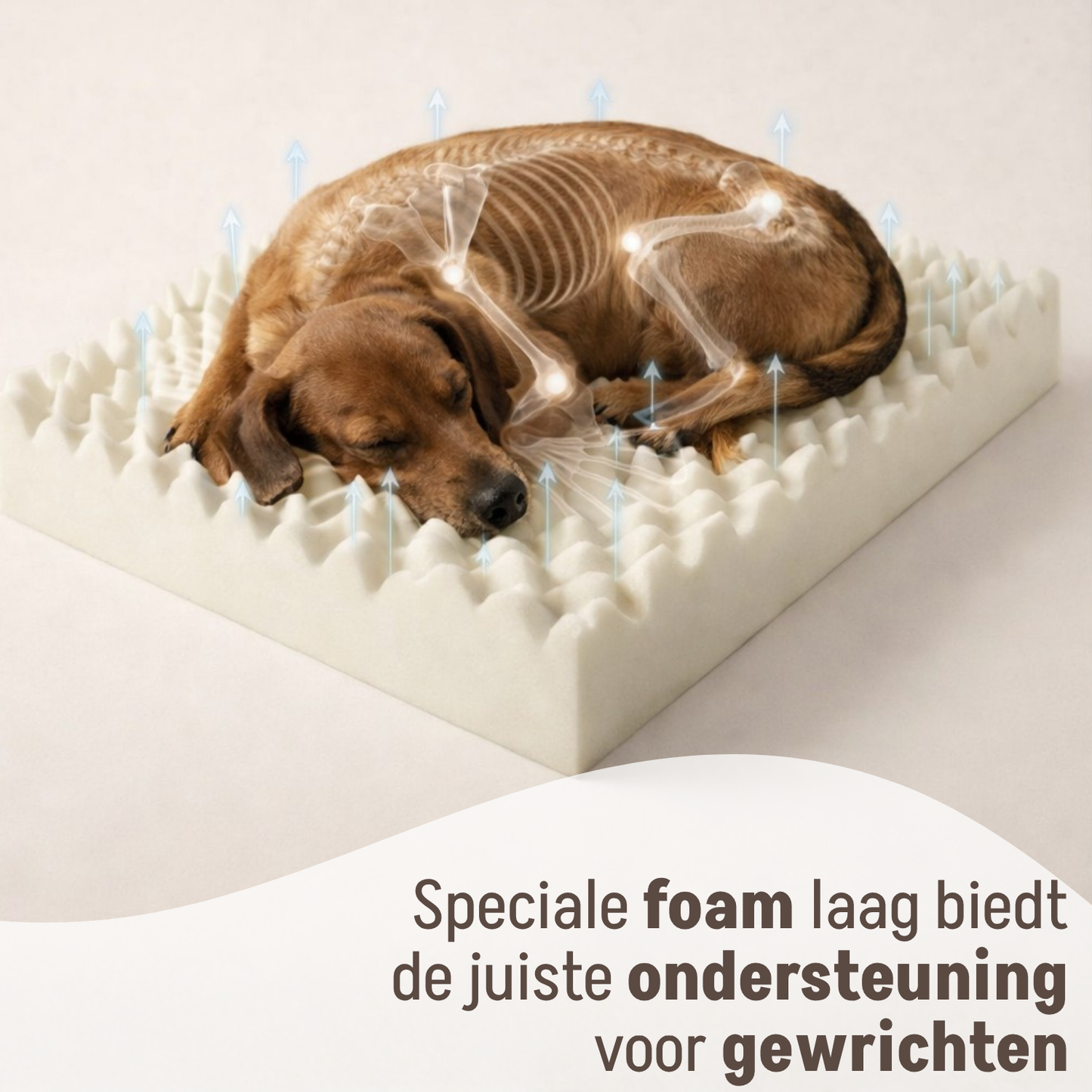 By Cee Cee Orthopedische Hondenmand