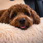 Fluffy Car Seat - The Ideal Dog Seat for On the Go
