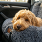 Fluffy Car Seat - The Ideal Dog Seat for On the Go