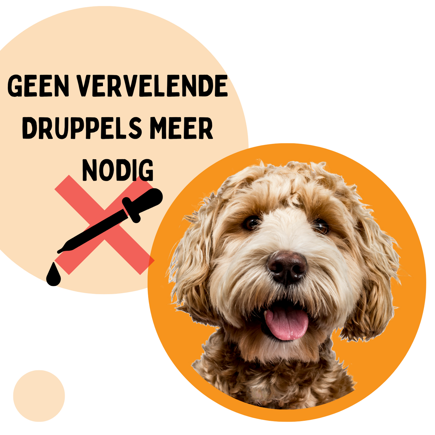 Vlooienband Hond -  Effectief Tegen Vlooien En Teken - Grijs