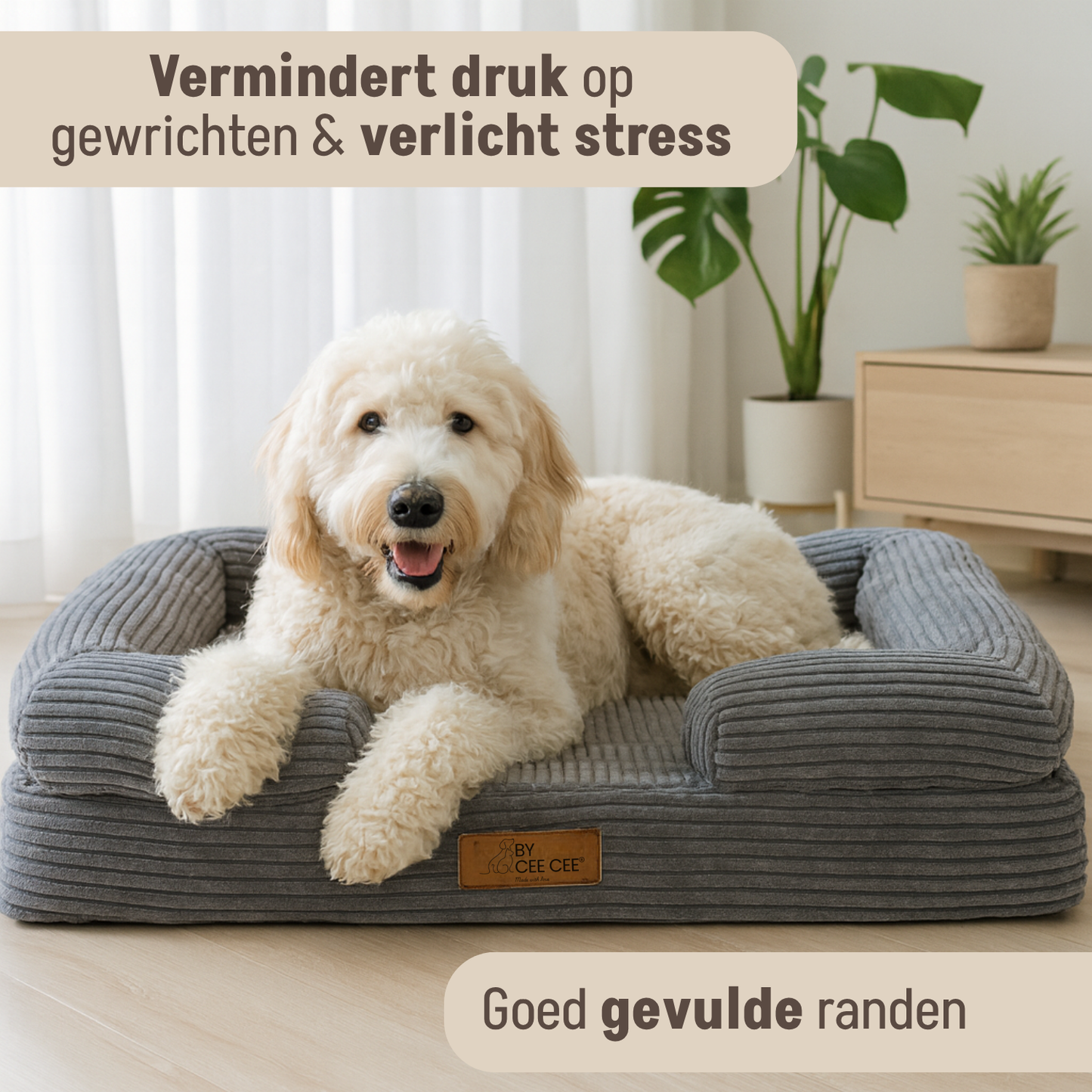 By Cee Cee Orthopädisches Hundebett