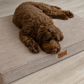 By Cee Cee Origineel Orthopedisch Hondenkussen Ribstof Mokka Taupe 100x70cm