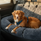 Fluffy Car Seat - The Ideal Dog Seat for On the Go