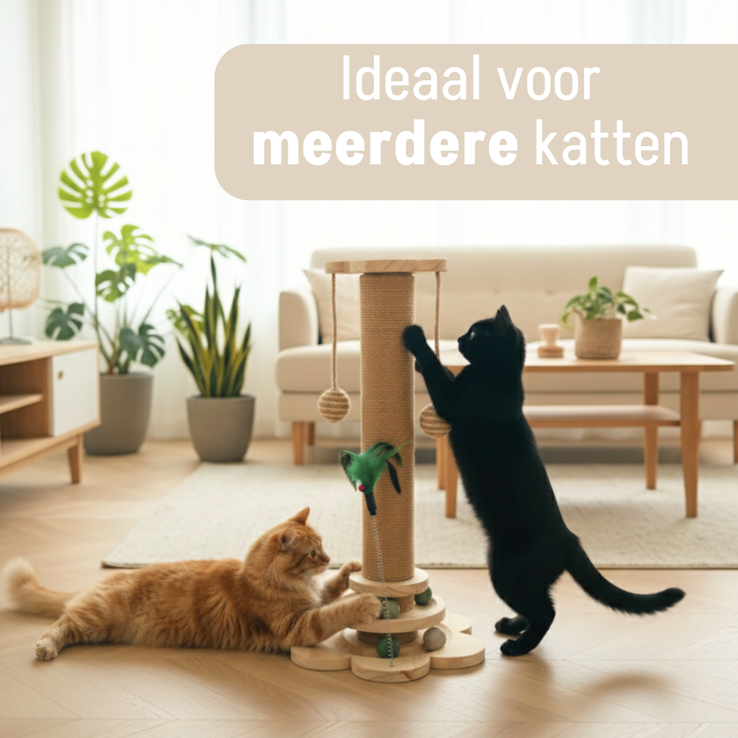 Luxe Houten Krabpalen