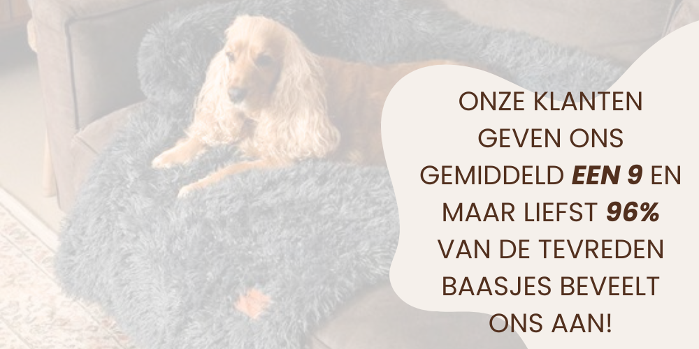 By Cee Cee Hondenmand, Hondendeken