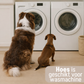 Fluffy Car Seat - The Ideal Dog Seat for On the Go