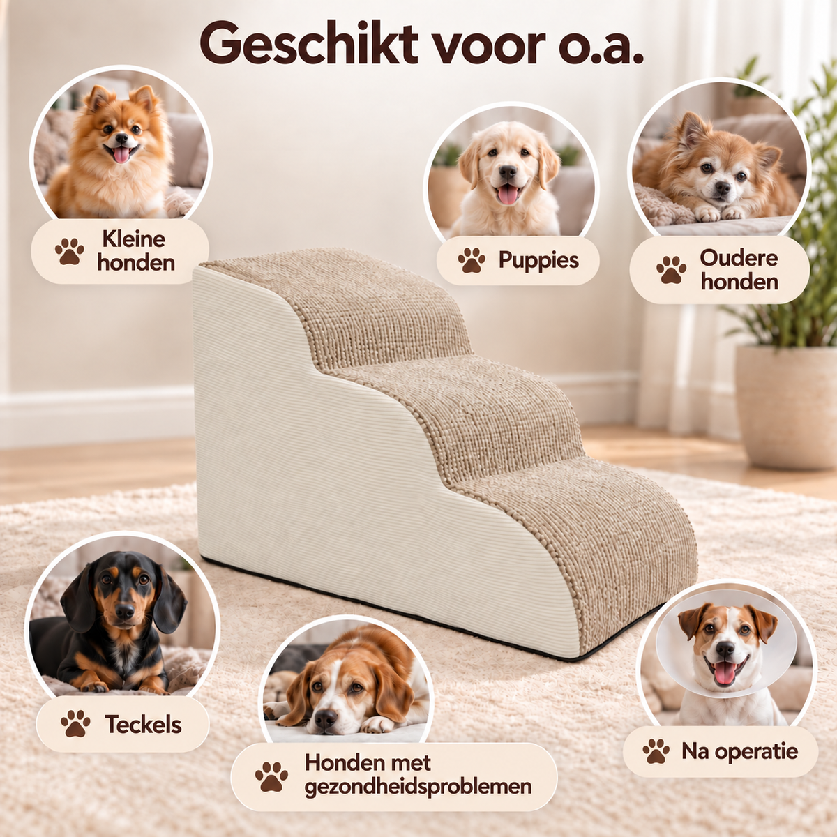 Anti-Rutsch-Hundetreppe von Cee Cee