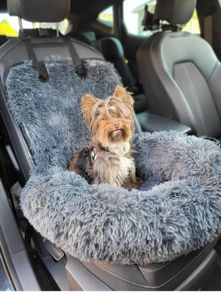 teckel, hondenmand, comfortabele rustplek, luxe hondenaccessoires, zachte vulling, warm interieur, Baby Coco and Nuts, kleine honden, knusse sfeer, design hondenmeubel