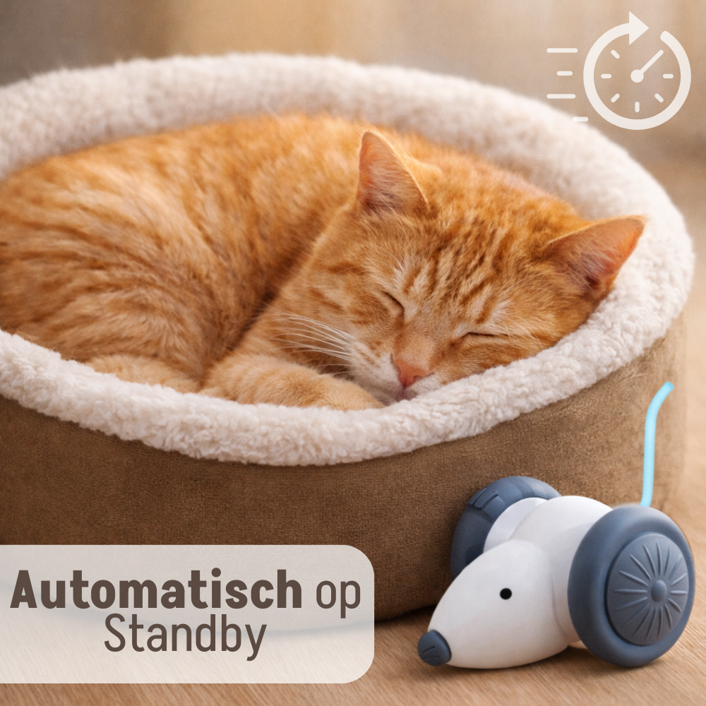 Interactief Kattenspeelgoed Muis - Oplaadbaar