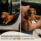 Luxus-Autositz für kleine Hunde