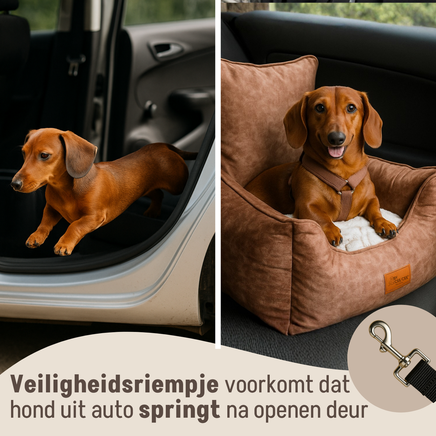 Luxus-Autositz für kleine Hunde