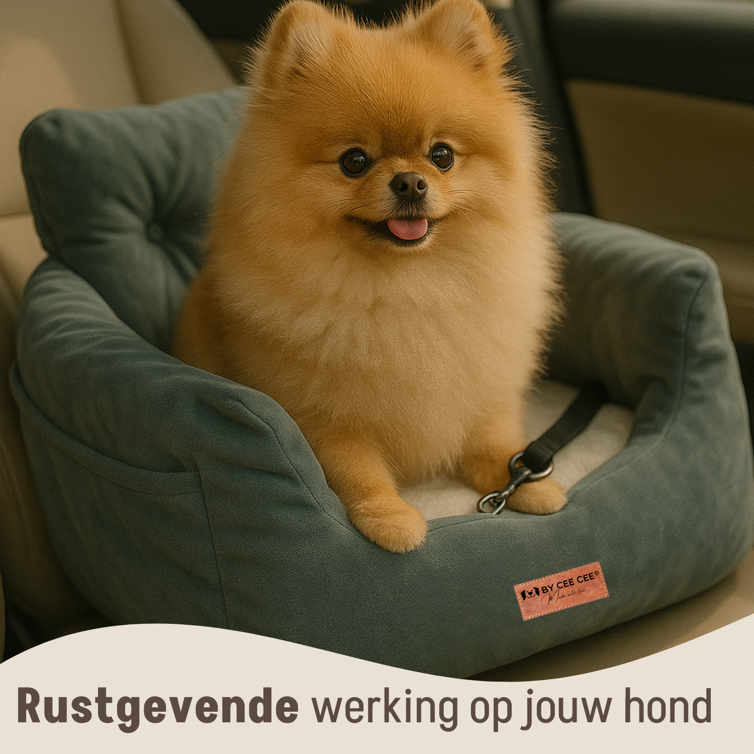 Kleine autostoel, Opbergplek, riempje