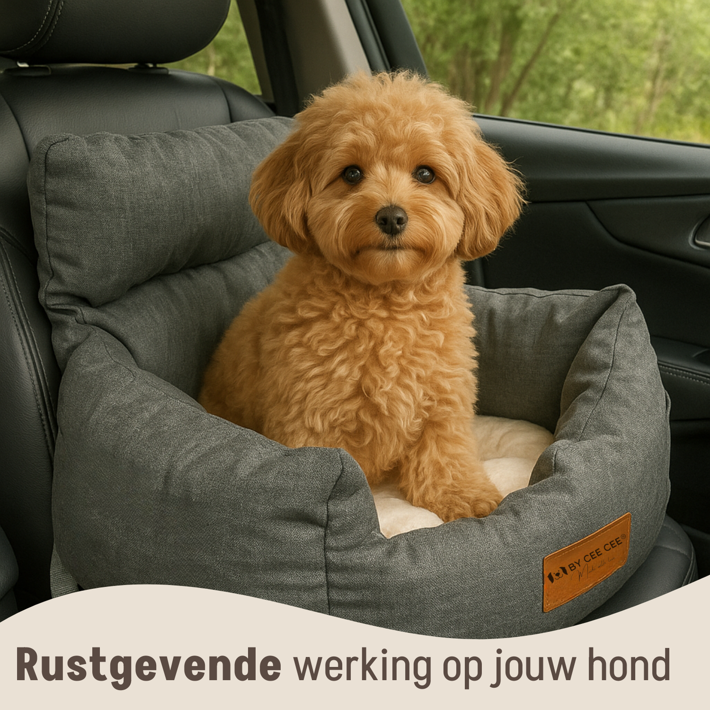 Autostoel Hond Premium All Season