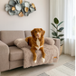 By Cee Cee Fluffy Hondendeken Bank