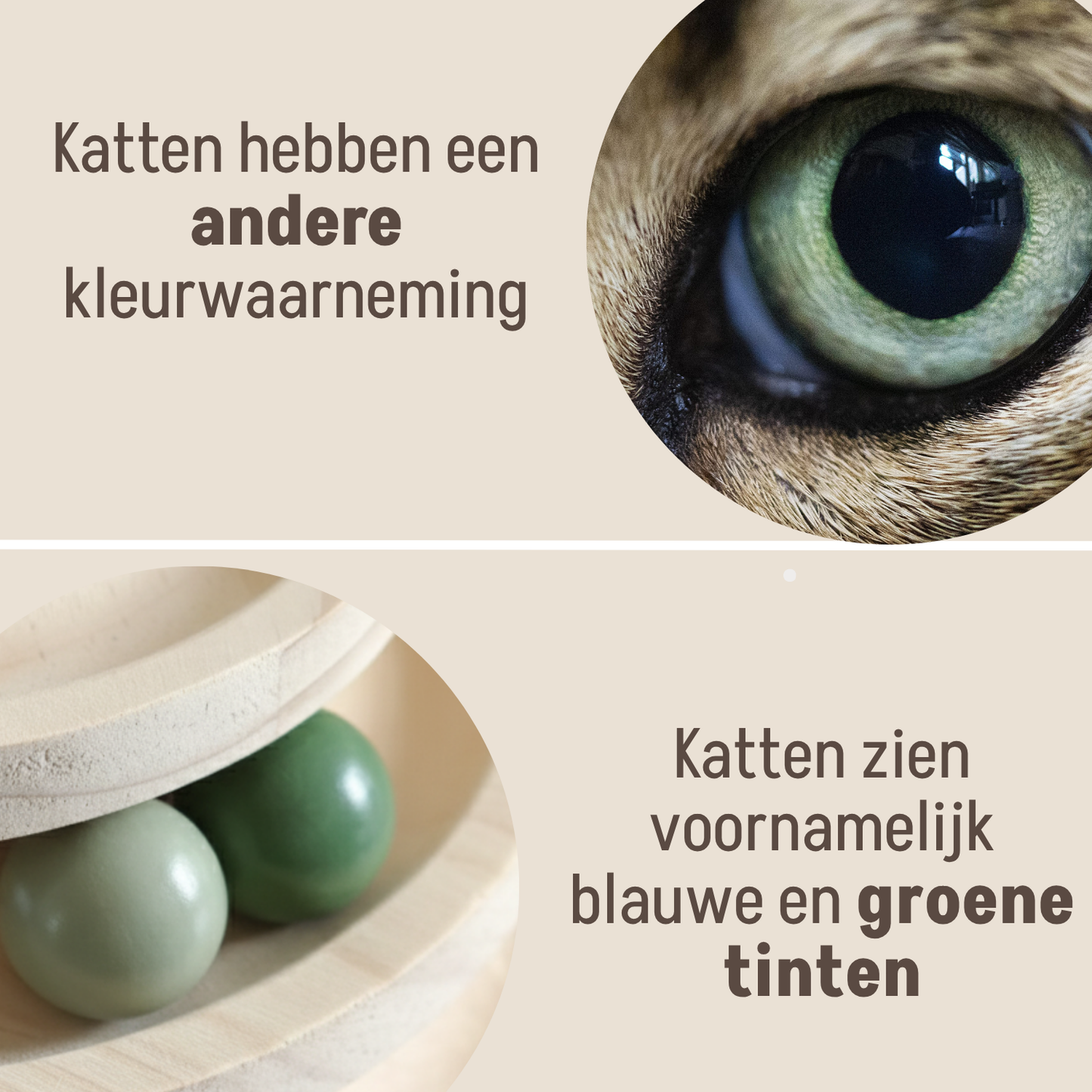 Luxe Houten Krabpalen