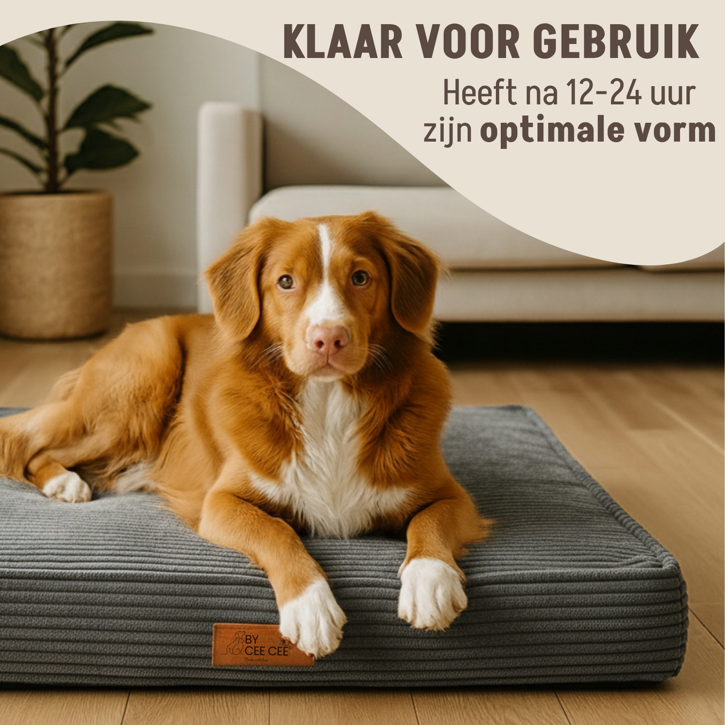 By Cee Cee Original Orthopädisches Hundekissen, Rippenstoff, 100 x 70 cm