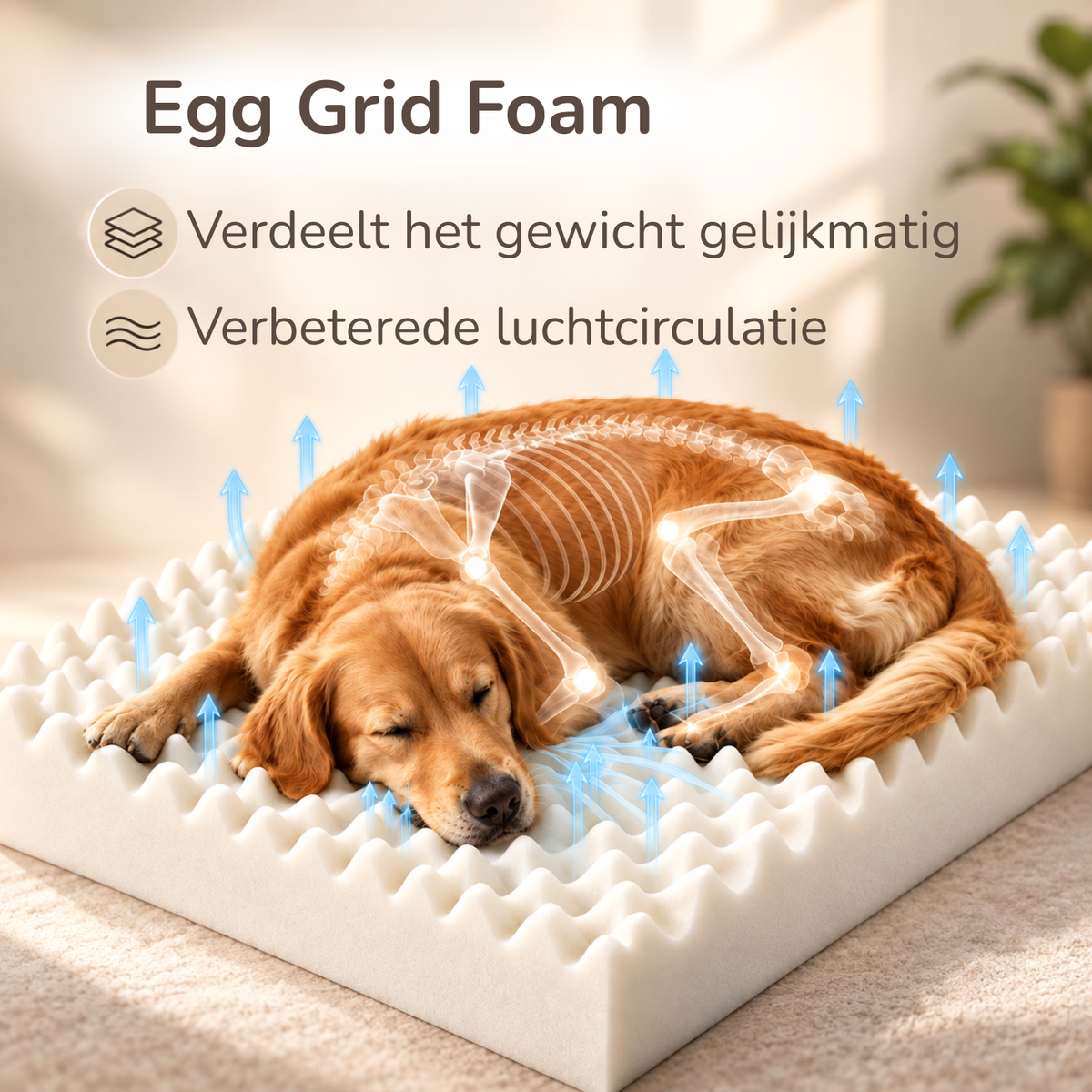 Orthopedische Hondenmand
