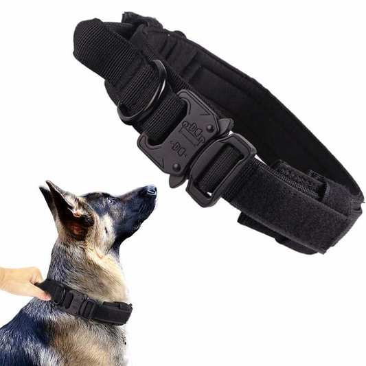 Hundehalsband mit Griff – Premium-Hundehalsband – Schwarz – Erneuert