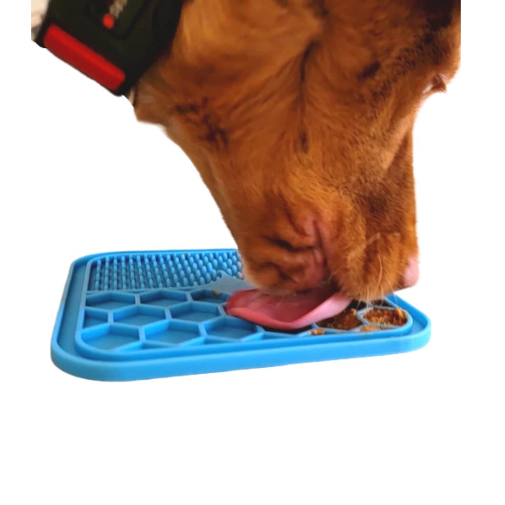 Leckmatte für Hunde und Katzen – Slowfeeder – Futtermatte – Schnüffelmatte – Anti-Fresstablett für Hunde – inklusive Silikonspatel