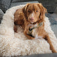 Originelle Hundedecke für die Couch – Hundedecke flauschig – Plüsch-Hundebett – Hundebett Premium